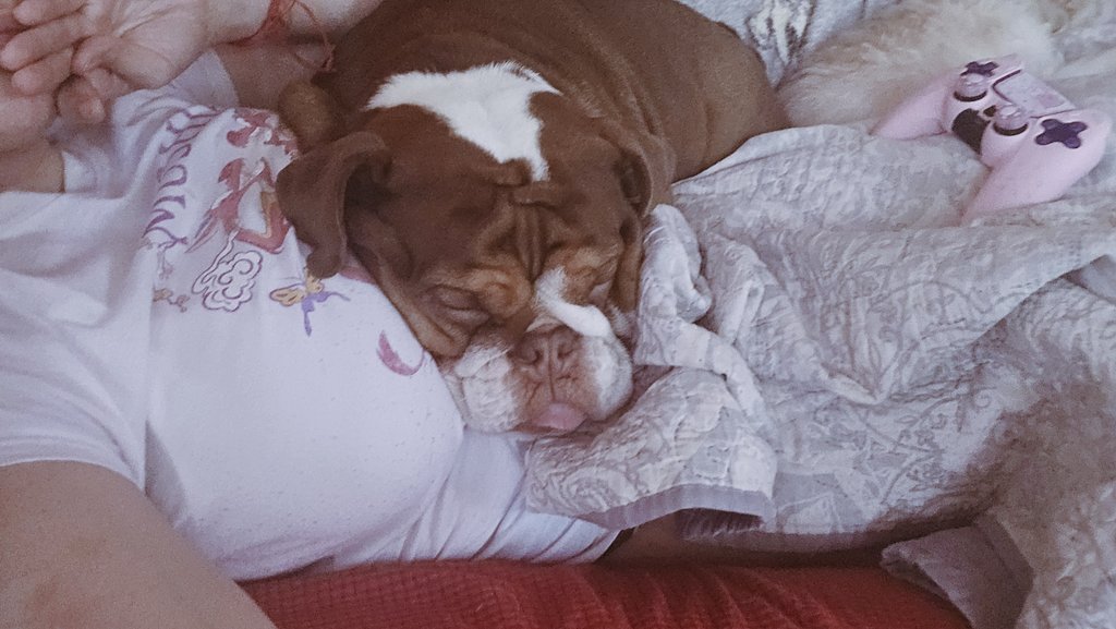 Glamerina Lune 🌙 Moon Princess tweet media