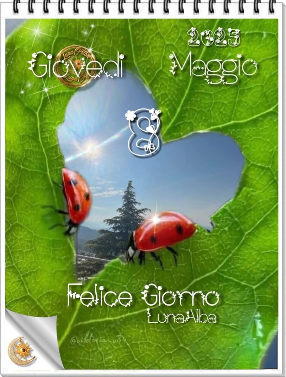 RITABIANCHi56 tweet media