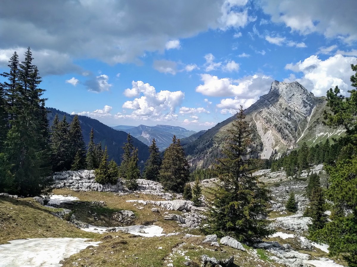 Gre1jour1photo's tweet image. En #Chartreuse.
#Alpes #Isère #Grenoble