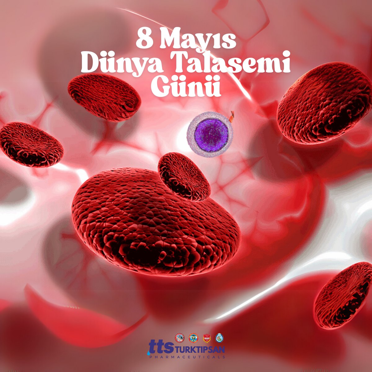 Bu önemli bir halk sağlığı sorununun gündemde tutulması ve bu sayede toplumda farkındalık oluşturulması adına 8 Mayıs 1993 yılından beri #DünyaTalasemiGünü olarak kutlanmaktadır.
#turktipsan
#tts
#Talasemi
