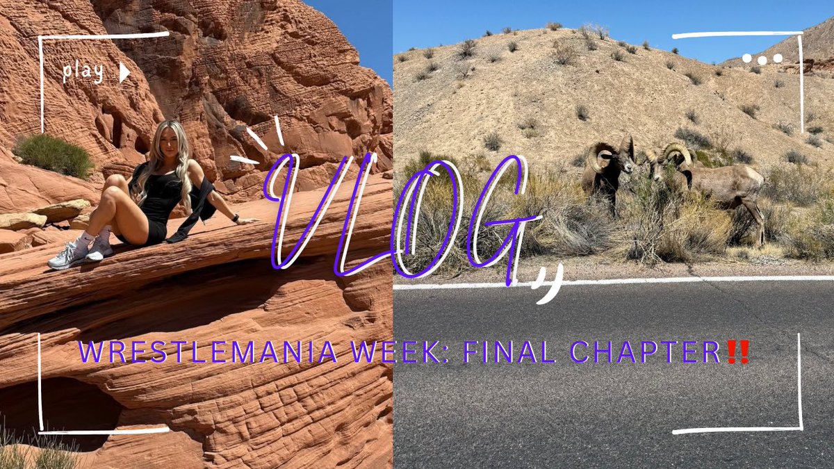 ASK AND YOU SHALL RECEIVE 😜🗡️

WRESTLEMANIA WEEK VLOG: THE FINAL CHAPTER.. OUT NOW‼️⬇️

youtube.com/@karmen_wwe?si…