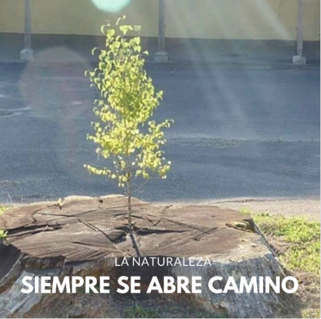 DANK_sia's tweet photo. #Naturalismo

¡Siempre lo hará! https://t.co/35bhT4xiig