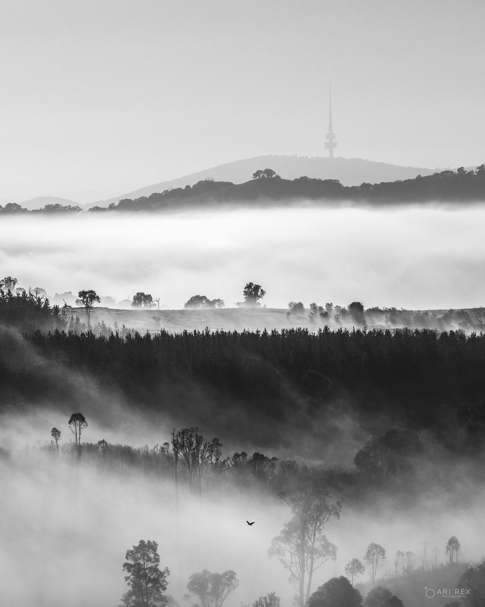 You know it’s Canberra when?

#Canberra <a href="/visitcanberra/">VisitCanberra</a> #canberraphotographer