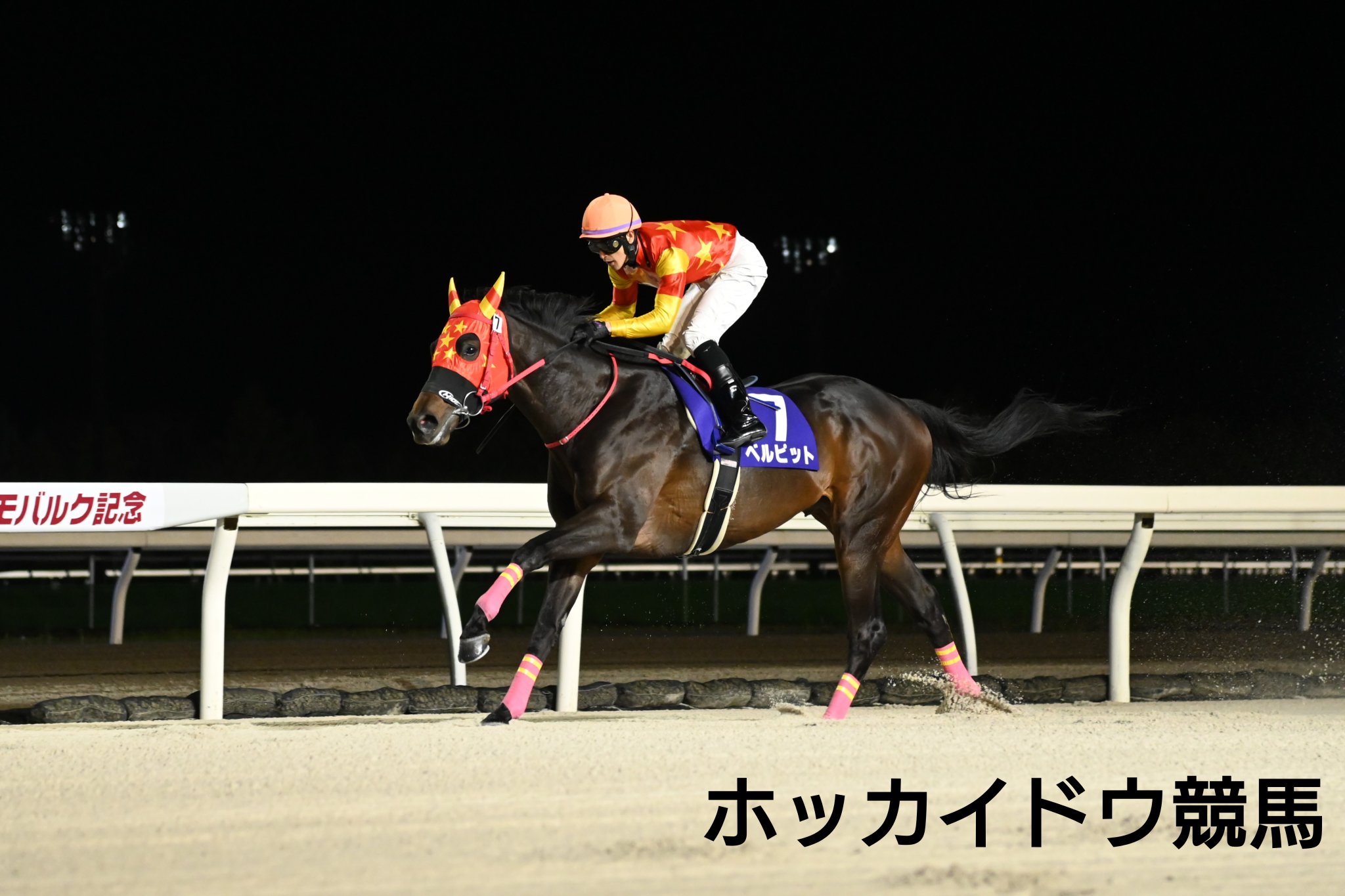 ◆　競馬　JRA　◆　ディープインパクト　◆　ファイテン　RAKUWAネック　◆ RAKUWAネックレス EXTREME ドッグタグ | ファイテン公式通販
