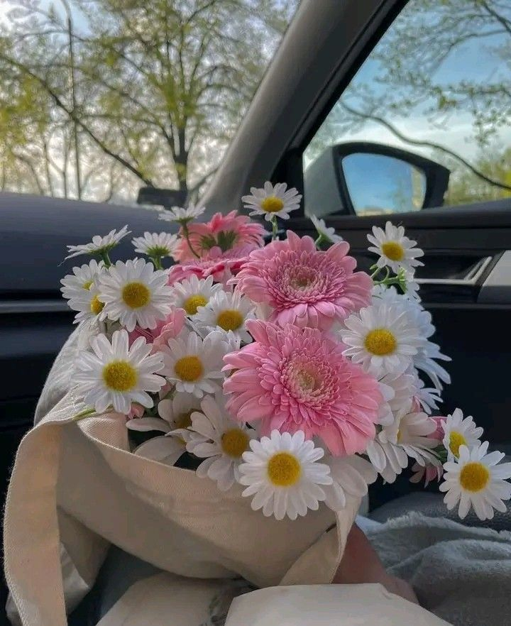 D_Mak221's tweet photo. 🌞 แดดอ่อนๆ กับดอกไม้บานๆ  🌸
... ใจมันก็สดใสตามไปหมด 🩷 
.
.
#แคปชั่น #แคปชั่นดอกไม้ #แคปชั่นเด็ด  #แคปชั่นโสด #แคปชั่นอ่อย #คําคมความรู้สึก #bebell #สายรักสายเลือดEP8 #คริสถึงโฟร์ท #OUROADLOVEAT1STLIVE #Jetlagเจ๊ทแหลก #คิมซูฮยอน #ไอจีปิง1ล้าน5แสนฟอล https://t.co/bUvoK3ieMB