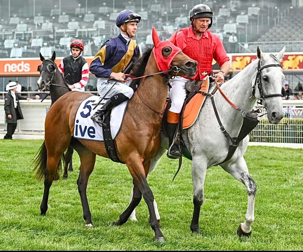 Our little Alabama Express Queen resumes at @PakenhamRacing tonight 🏇🏼 Best of luck to her connections!

R9H7  Express Yo'self J Mott 57.5kg