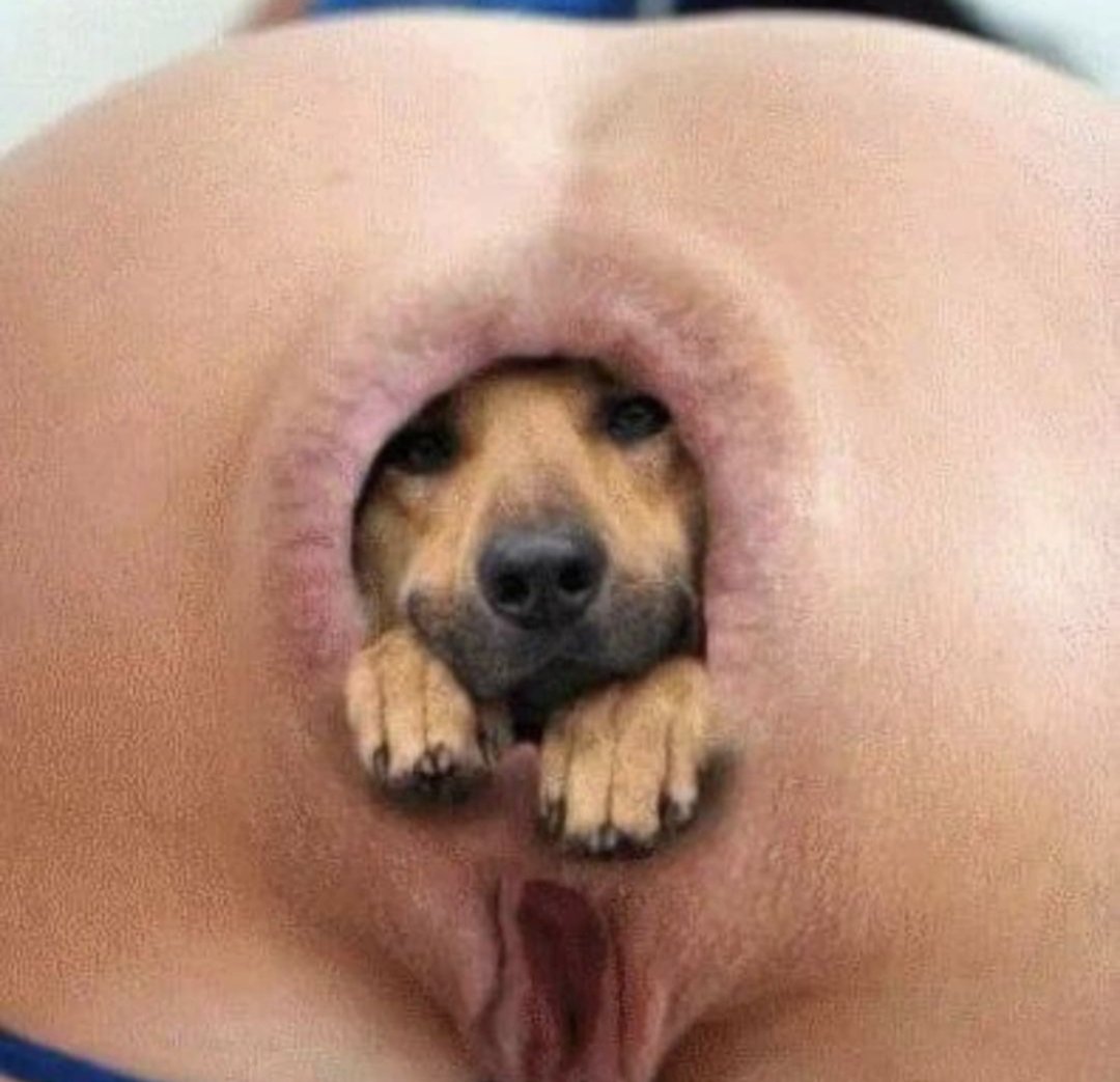 shm0an💤 tweet media