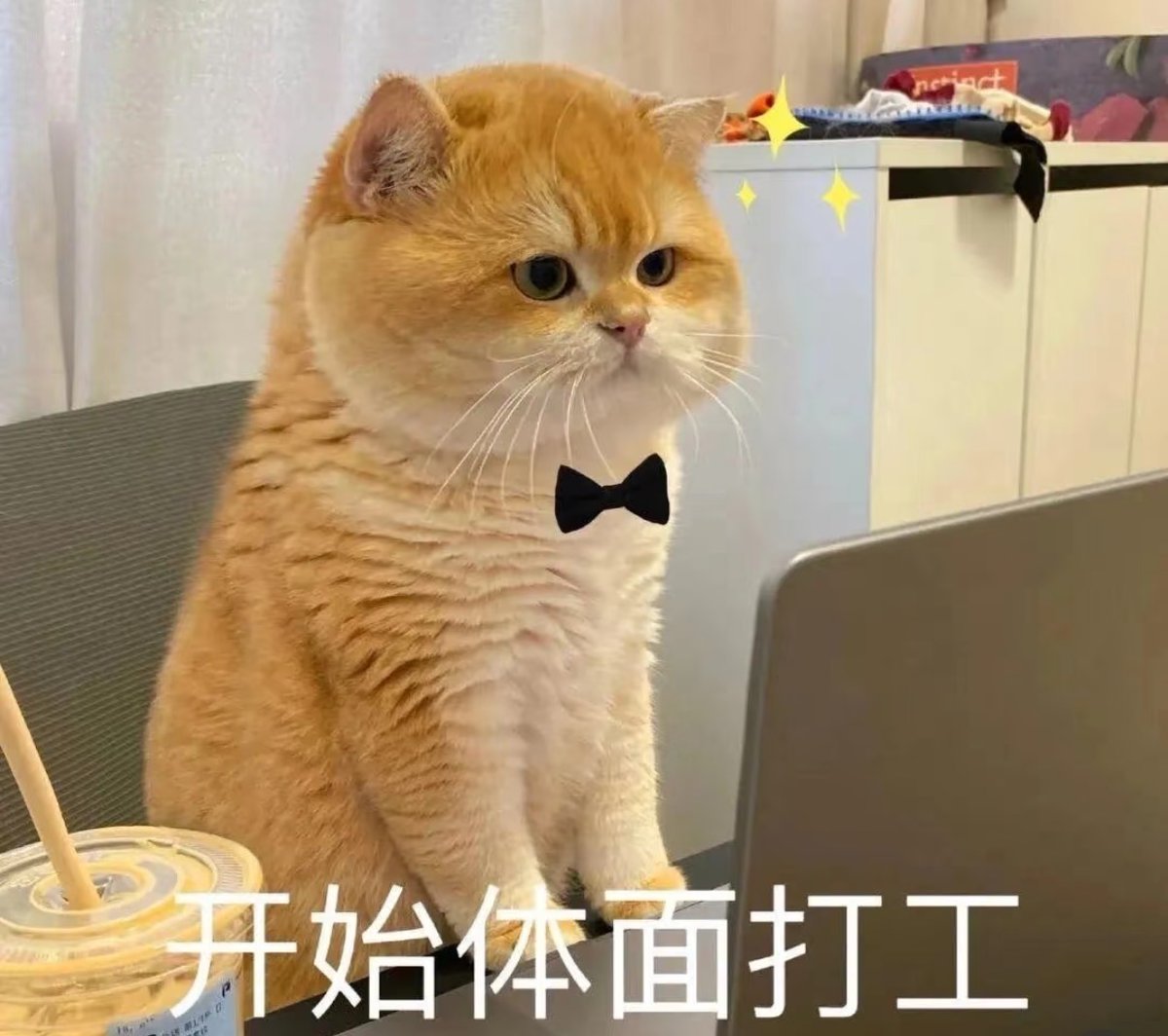 早上好呀，上班快乐