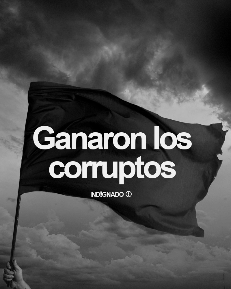 indignadoxd's tweet image. 