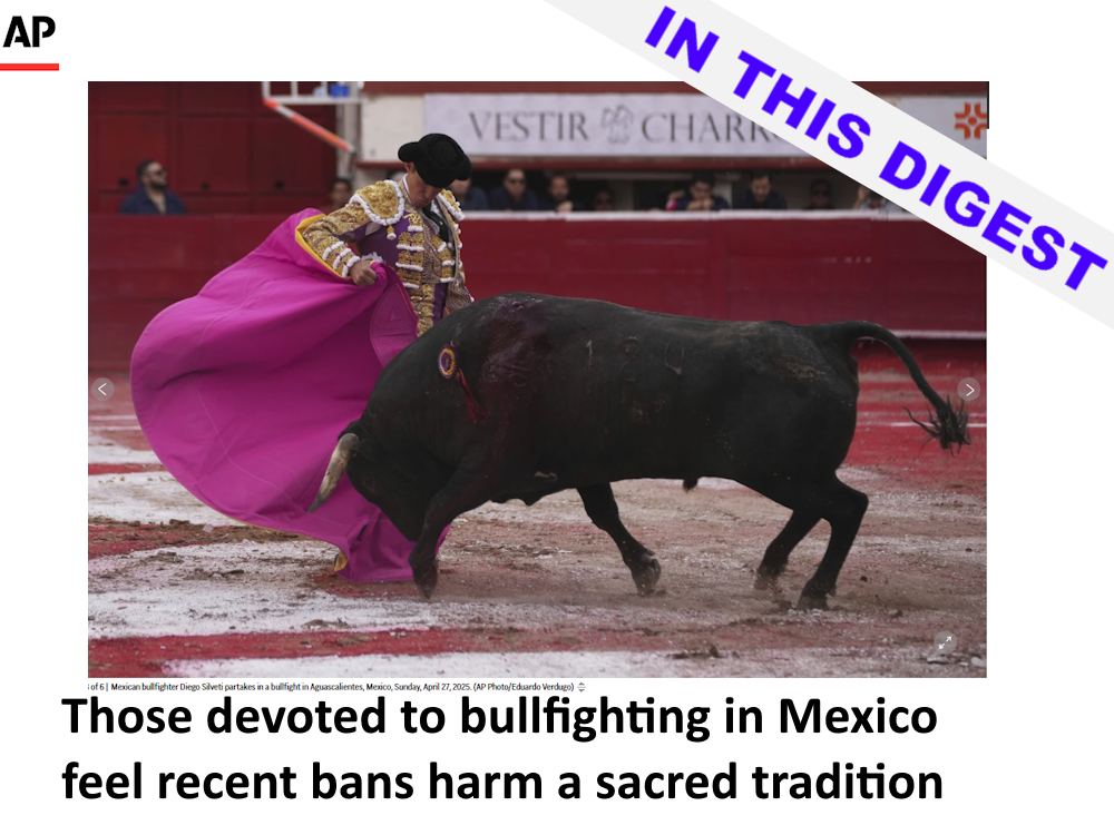 7 May 2025

▶ religlaw.org/headlines/dige…

With news and events from
<a href="/maritereh/">María Teresa Hernández</a>
<a href="/KRISH_EH/">Chris Shea</a>
<a href="/SenTedCruz/">Senator Ted Cruz</a>
and more.