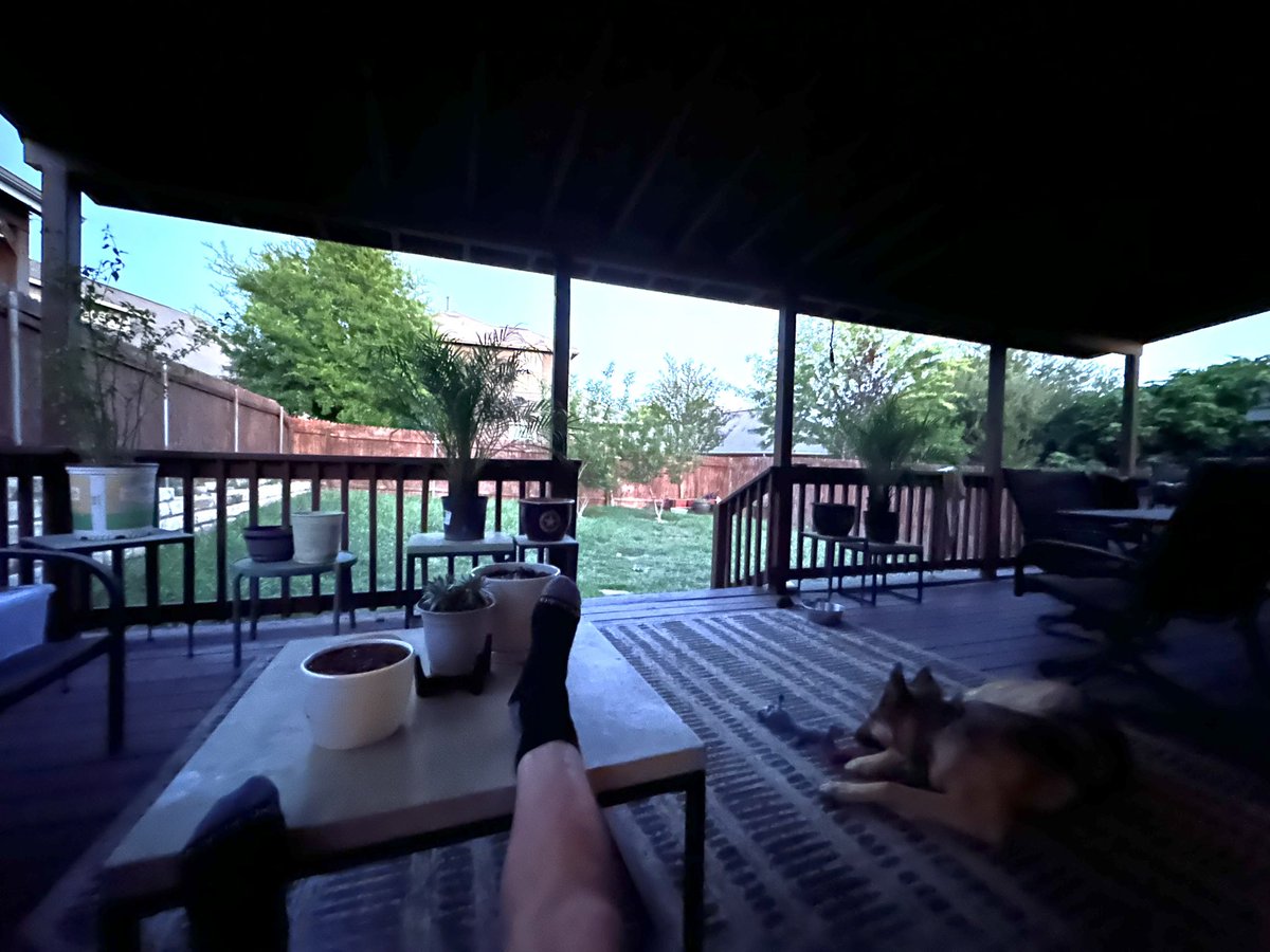 woof is always a vibe 🐶