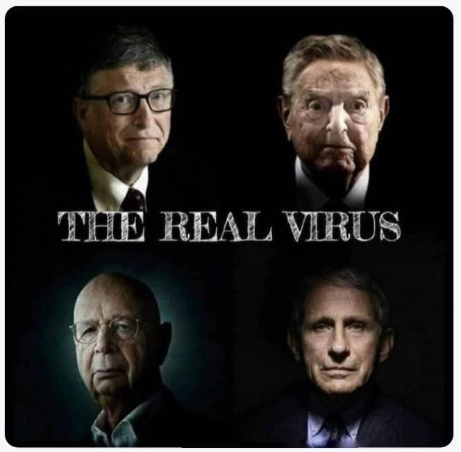 WallStreetMav's tweet photo. Factual Image 👇 https://t.co/0j80hnAMYH