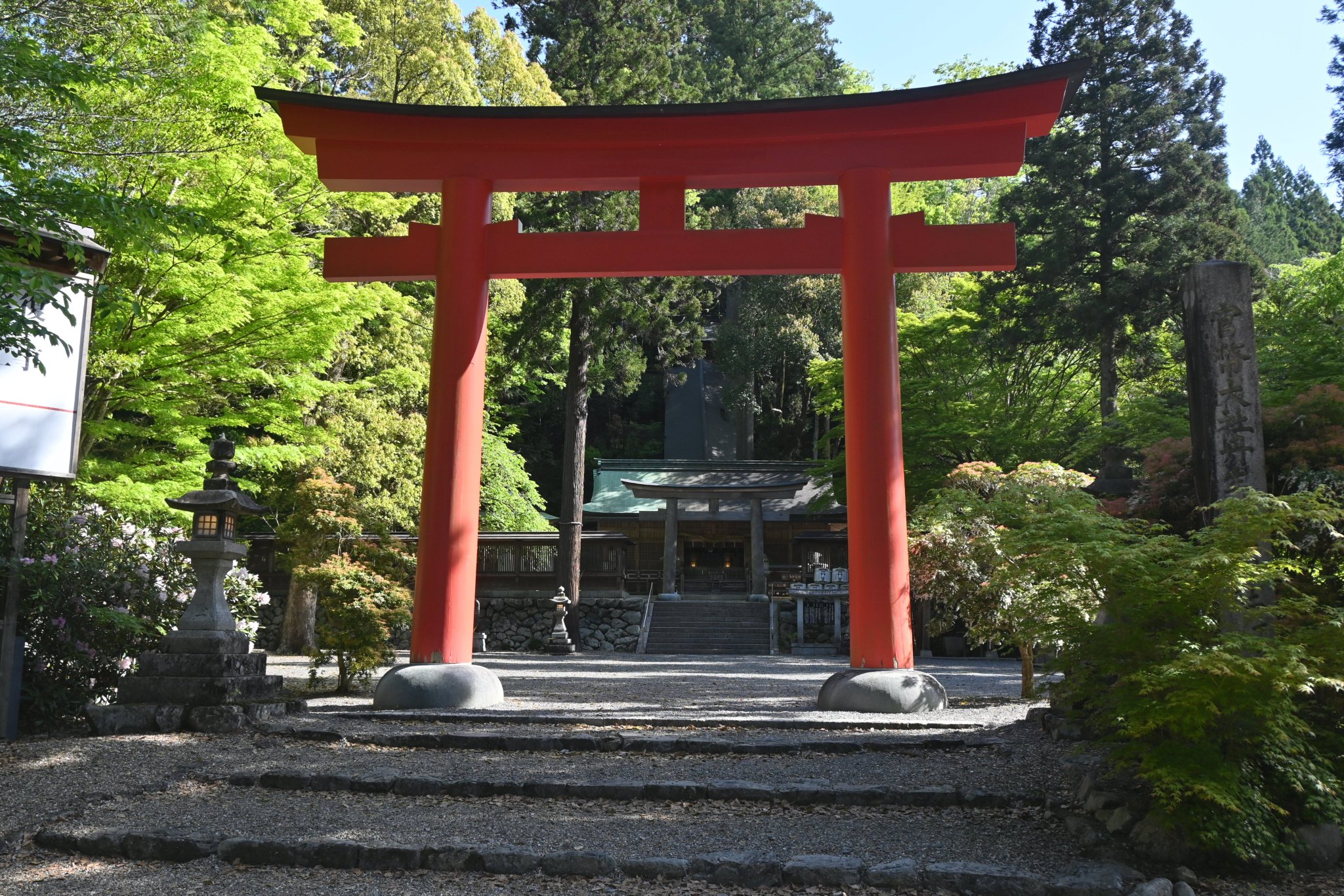 リピーター様（みー♡7047様）の出品です（幸運　天照大神　人間関係　勝負運） Amazon.co.jp: 晴れの街ギャラリー 掛け軸 天照皇大神 御神號