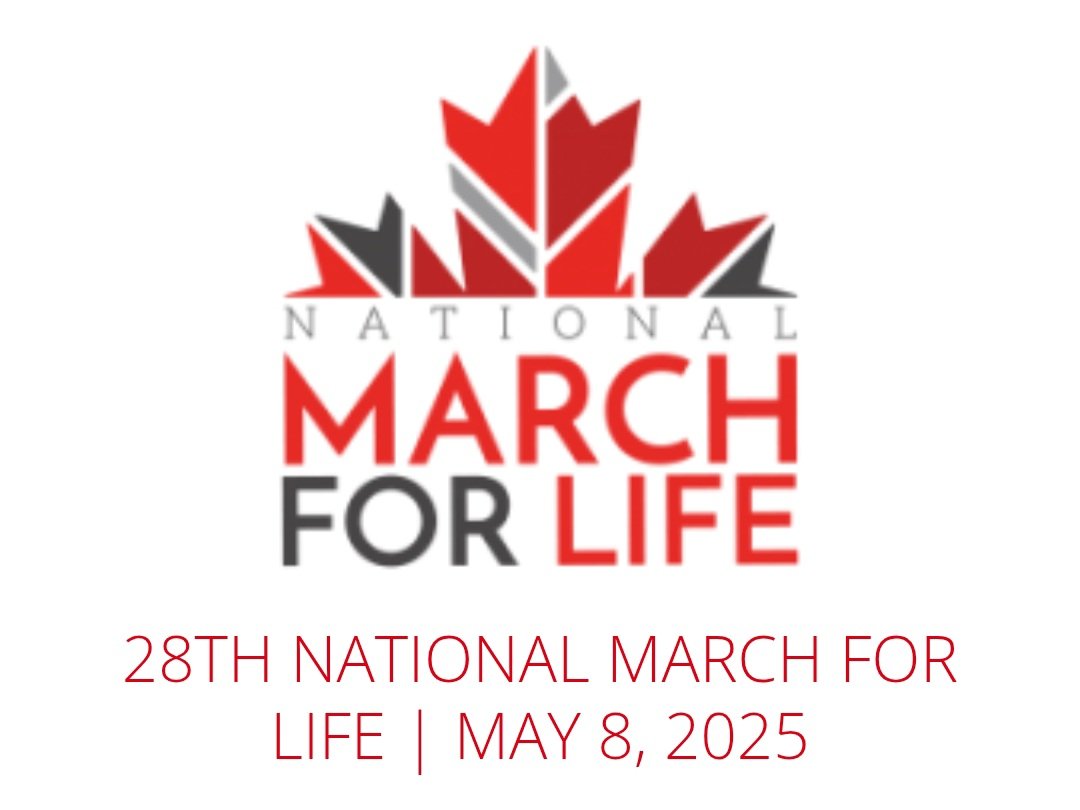 JohnZwicker1's tweet photo. Wonderful to see so many of the #SistersOfLife (from #Toronto) and the #QueenshipOfMary (from #Ottawa) at the Vigil Mass and #CandlelightVigil at the #HumanRightsMonument

#MarchForLife
#MarchForLifeCanada
#WhyWeMarch https://t.co/u6tHC1ooUg