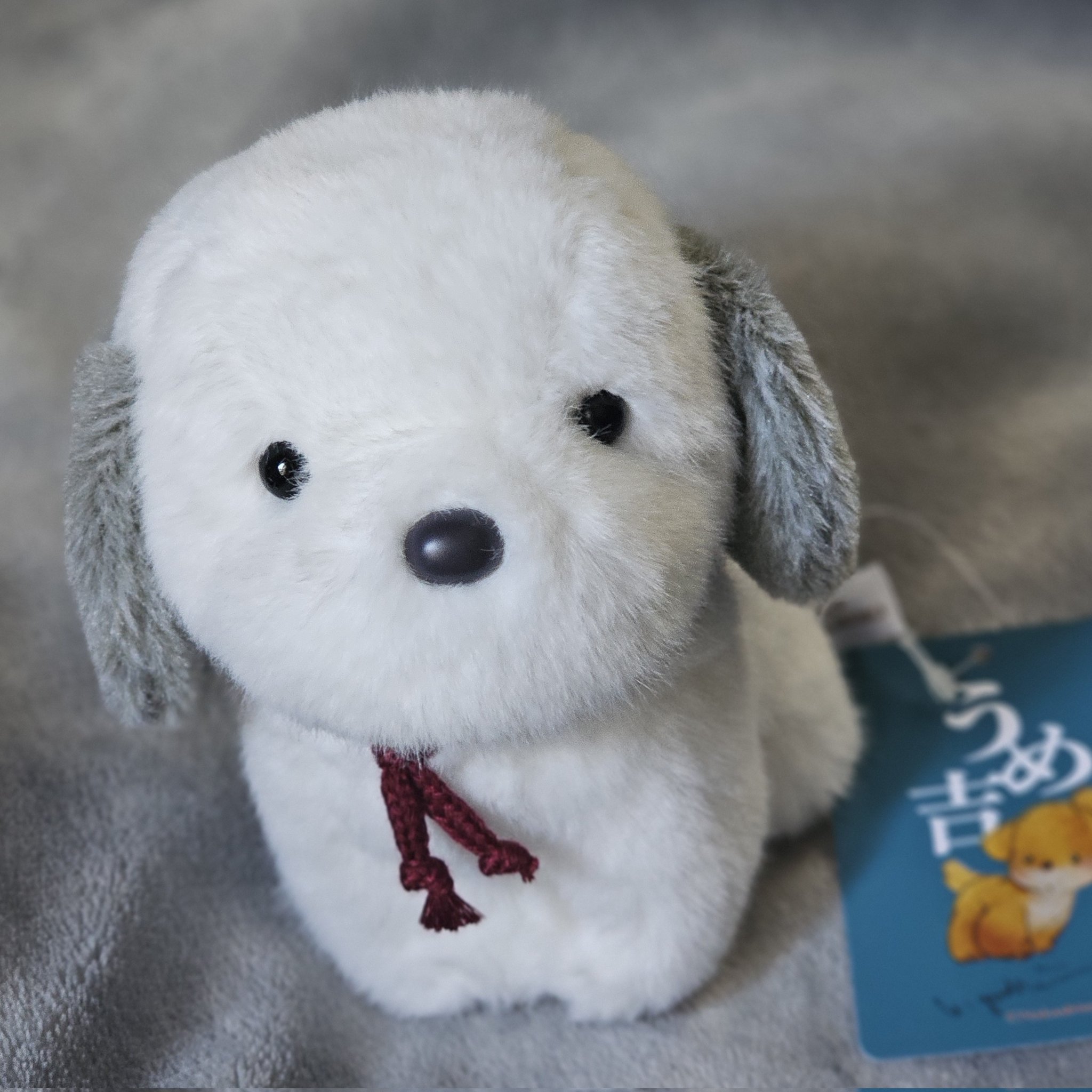 うめ吉 約70cm うめ吉 約70cm