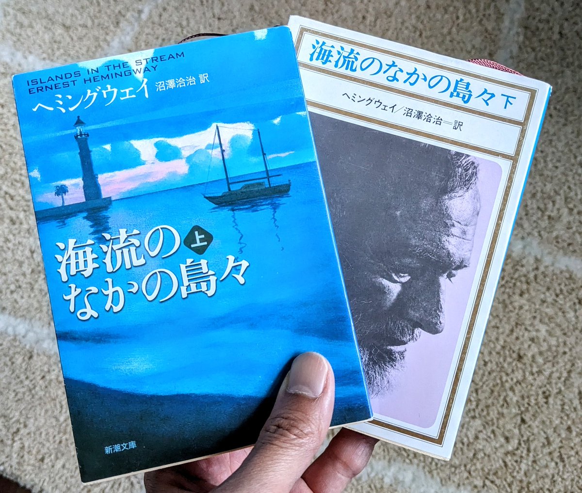 海流のなかの島々 - 検索 / X