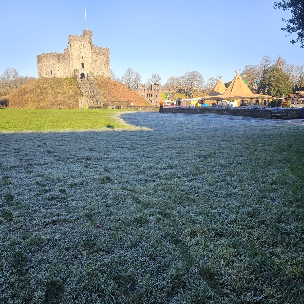 #AlphabetChallenge #WeekSforSilver 

Silvery grass. 

 #Cardiff Castle, Wales.