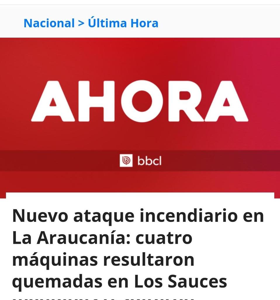 María José Gatica Bertin tweet media