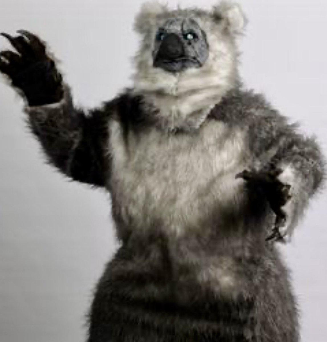 When ITN Studios decided to make original movies in location in Australia there was only one idea that was perfect to kick it off!
Crazy Koala  Bear! What else?
#itnstudios