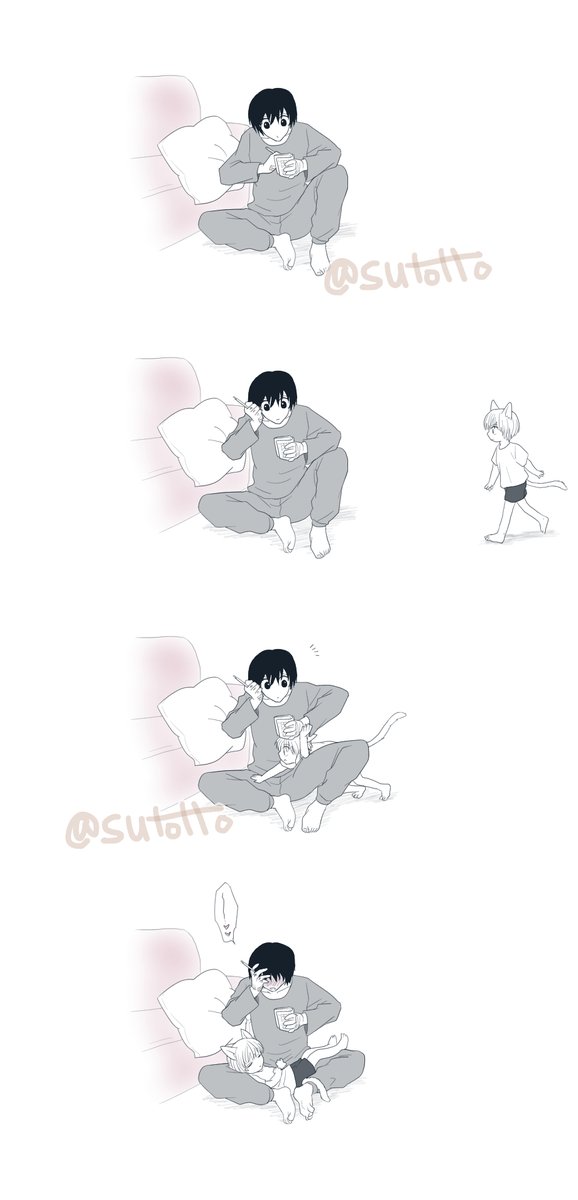 っす (@sutotto) on Twitter photo 