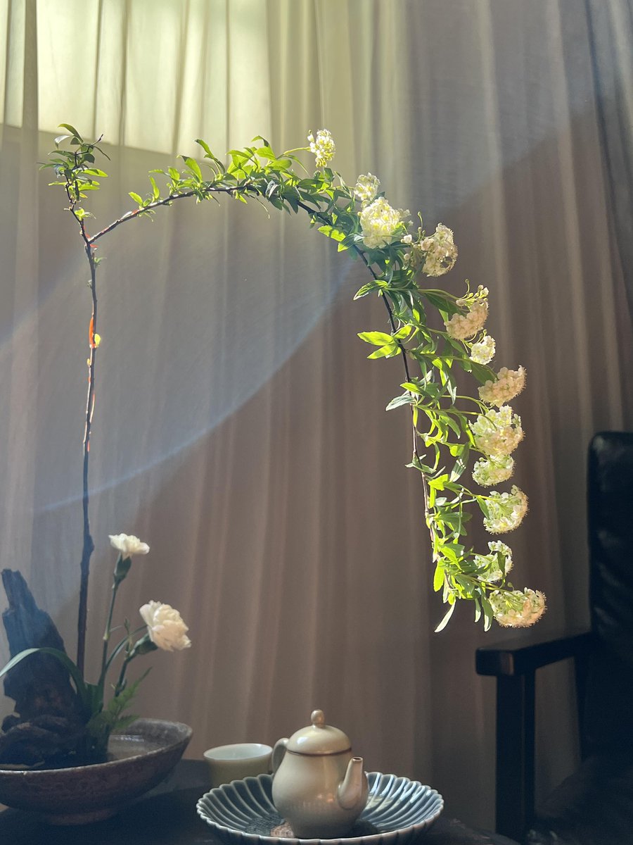 emacmv's tweet image. 一葉の茶、軽く一泡で、眠っていた心を目覚めさせる。