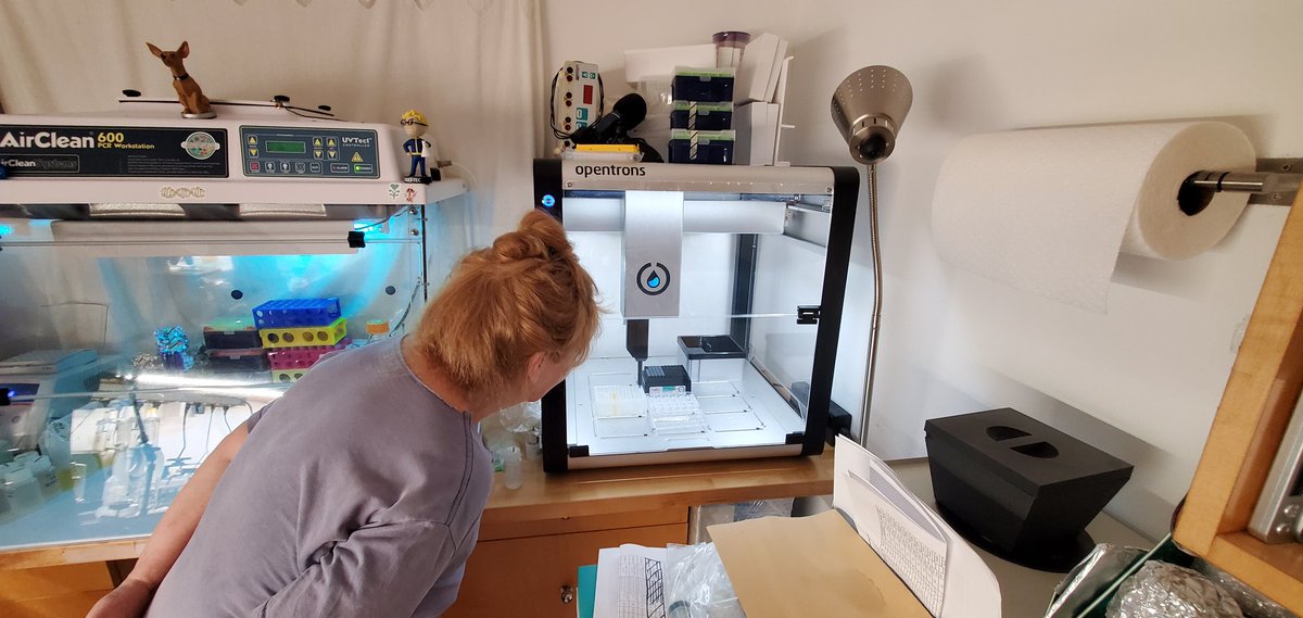 Sebastian S. Cocioba🪄🌷 tweet media