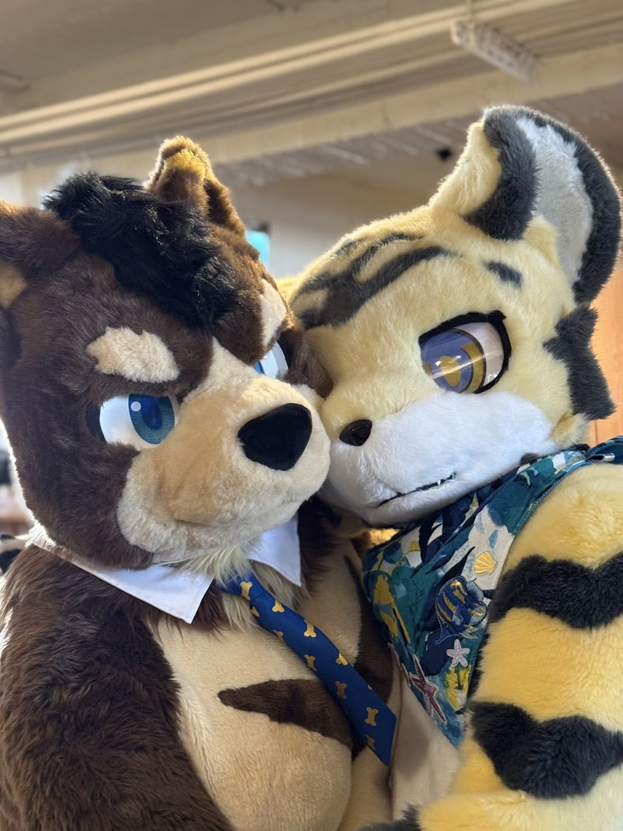 假期能不能不結束🧸
📷：鈉鋅
#MokuThursday 
#沐曜日 貼貼
#FursuitEveryday