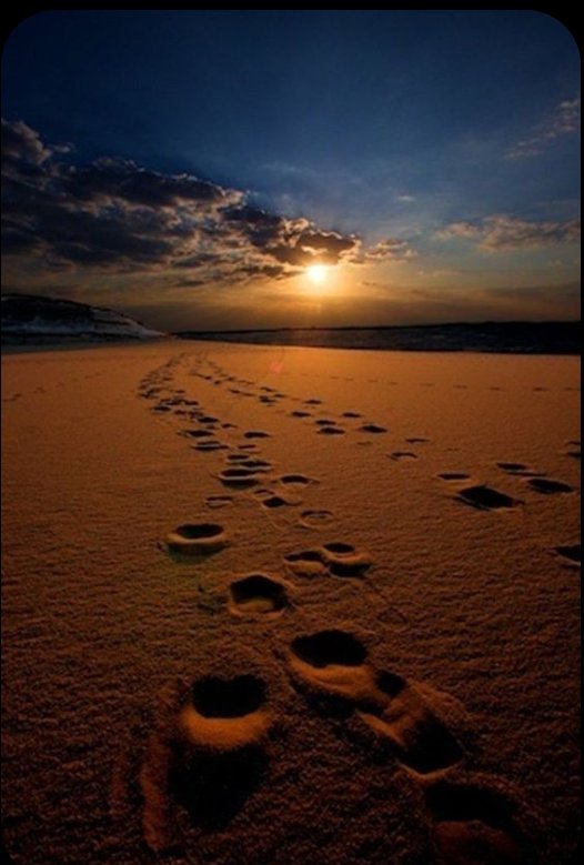 तुम जा चुके हो... पता है मुझे...
मैं जाऊँ कहाँ....पता नहीं..!.