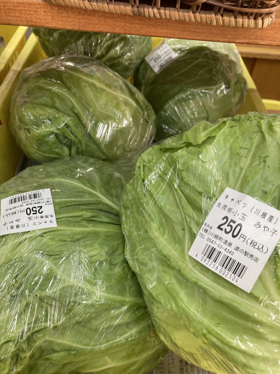 kawaneonsen's tweet image. 川根産　キャベツ🥬
入荷中にゃ😸

#川根温泉ふれあいの泉
#道の駅川根温泉
#川根温泉道の駅売店
#旬の食材