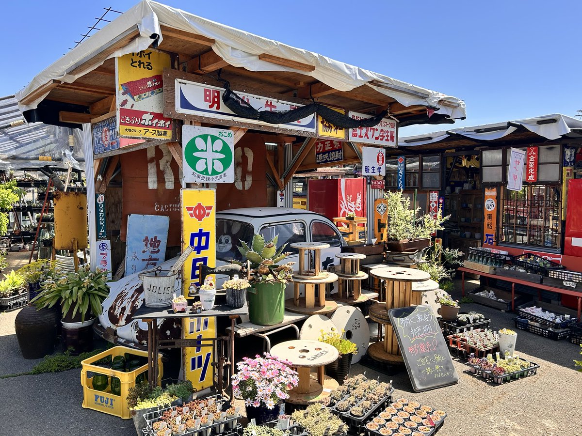 ferretti_1219's tweet photo. RuPo Cactus Garden
多肉植物専門店
#RuPo #多肉植物
#多肉植物専門店
#RuPo好きな人と繋がりたい
#多肉植物好きな人と繋がりたい
気持ちいい〰️☀️ https://t.co/bxso1cfBwS