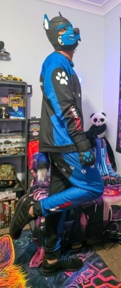 Showing off the fresh new 'BadPups' gear in full blue-and-black glory—meanwhile, Panda’s in the background trying to steal the spotlight with those innocent eyes. 🐾🐼✨

📸 @pupvuk on X

#PuppyPlay #PupPlayAustralia #PandaThief #BlueAndBlack #BadPups #BadPupsModel #BadPupsPack