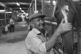 oxley8150's tweet image. 🥇👏 # thoroughbreds 🇦🇺 #Wyong #RoyalRandwick
#thoroughbreds🇦🇺 💚