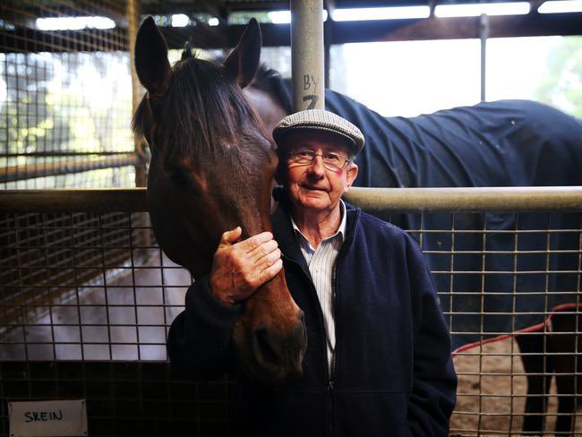 oxley8150's tweet image. 🥇👏 # thoroughbreds 🇦🇺 #Wyong #RoyalRandwick
#thoroughbreds🇦🇺 💚