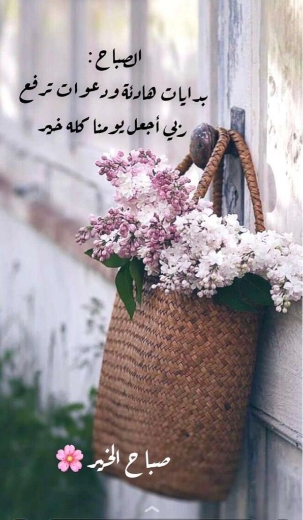 صباح الورد 🌸🌸🌸