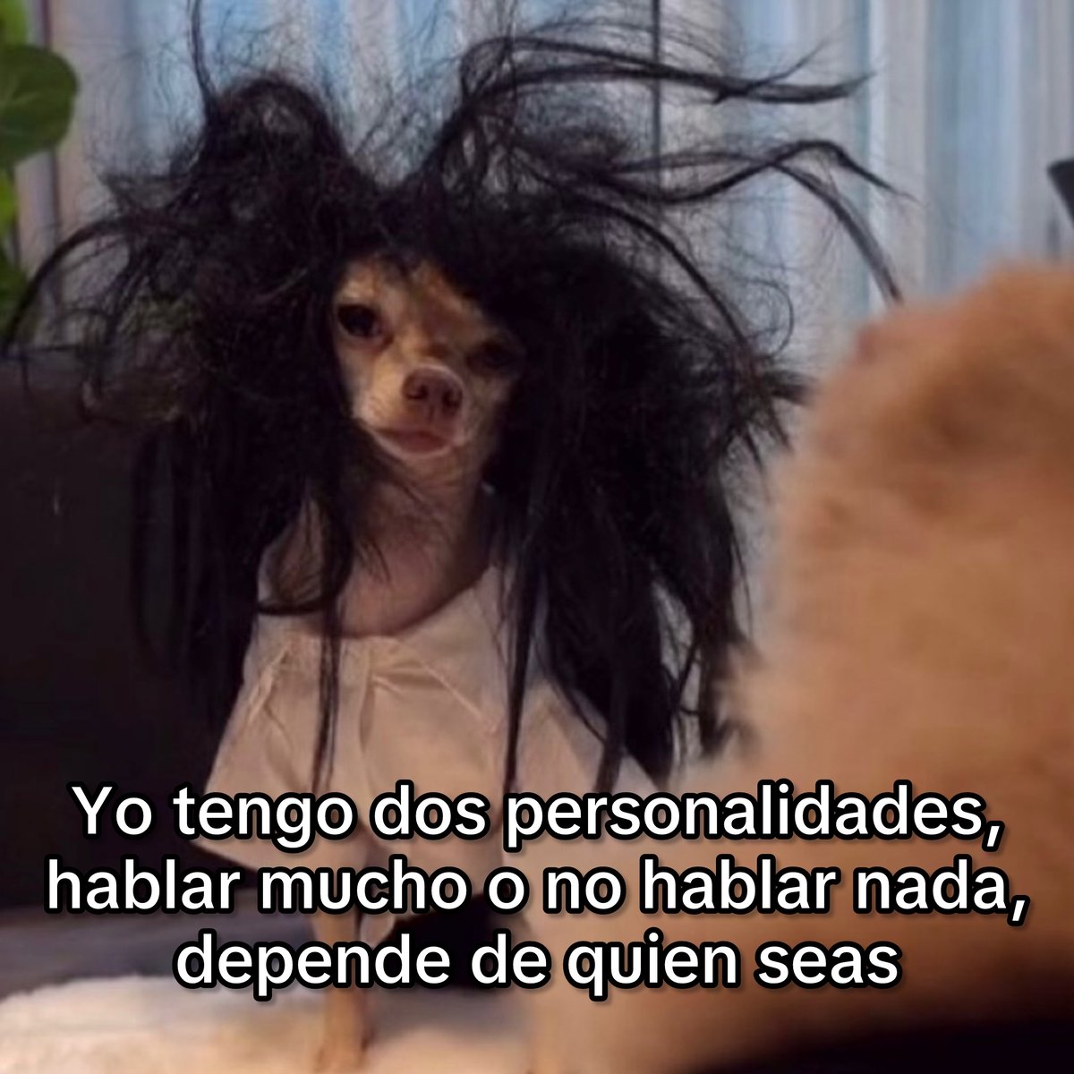 Guarromantico_'s tweet photo. Soy ese. https://t.co/c7nIw1b68s