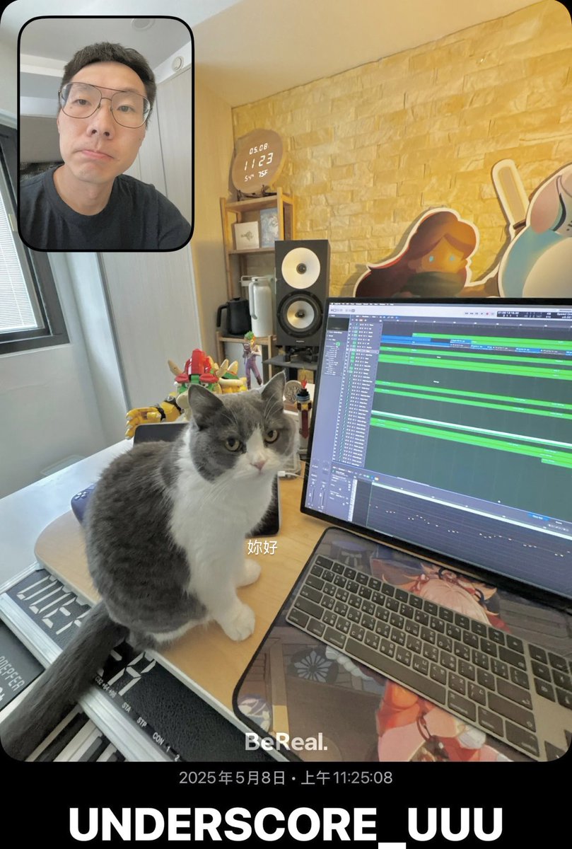 Modify Modify Modify. #MusicDaily #Compose #Music #Producer #SoundDesigner #GameComposer #gamemusic #gameaudio #unclearranger #cat #cats #BritishShorthair #British #Shorthair