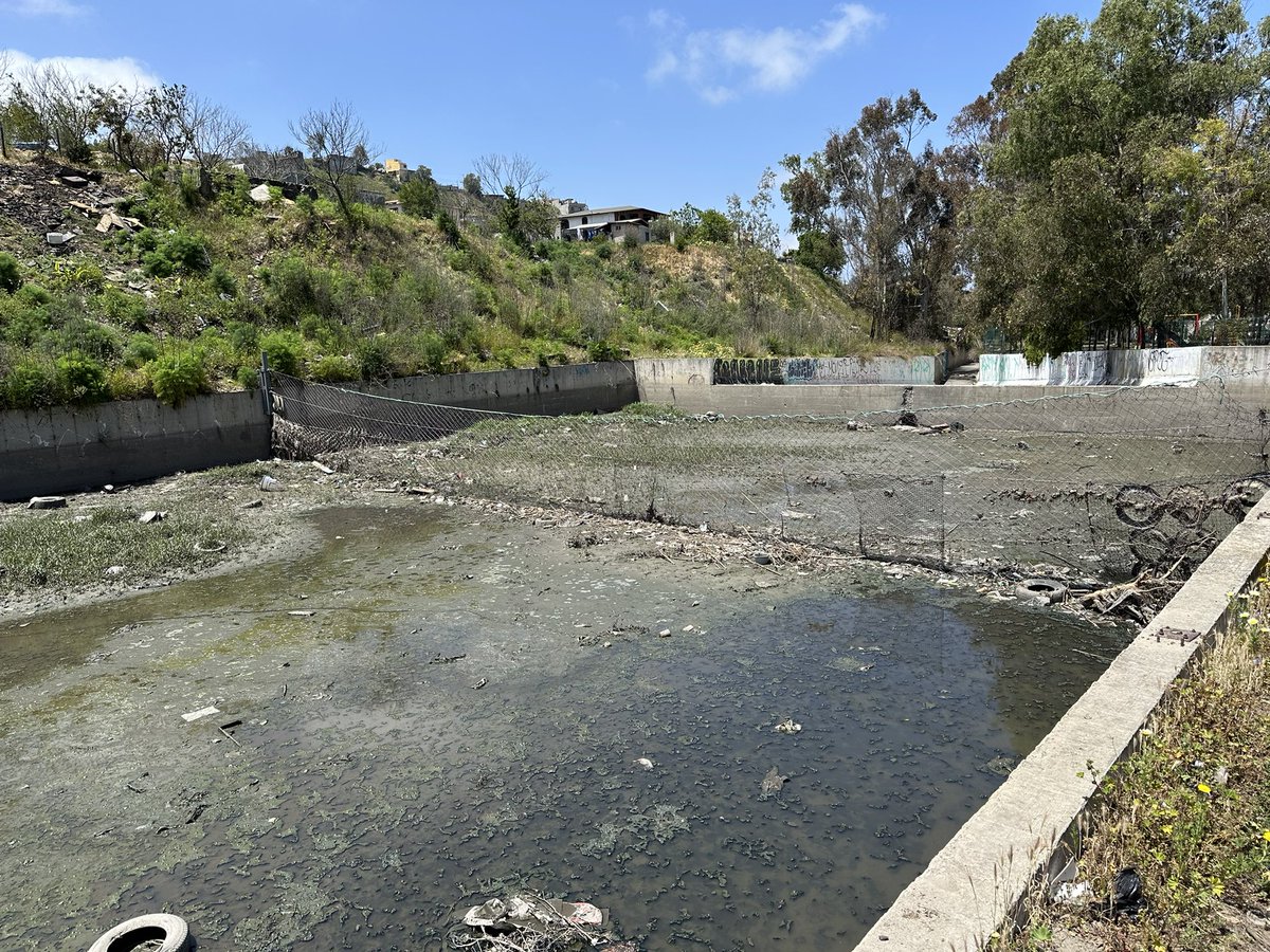 Serge Dedina tweet media