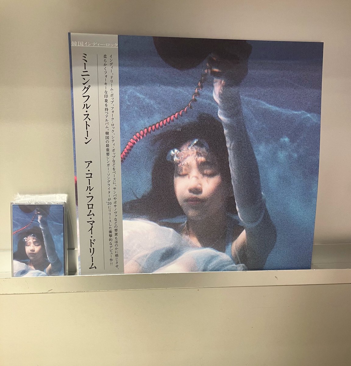 韓国のSSW、キム・トゥットゥルによるプロジェクト、Meaningful Stoneのデビュー作が登場。ドリーム・ポップ～シティポップ～サンバ～ボサノバ～ジャズ～フォークロック～グランジと、あらゆるジャンルを跨いだ上で作る絶妙なサウンドに終始癒されます！

beams.co.jp/item/beamsreco…