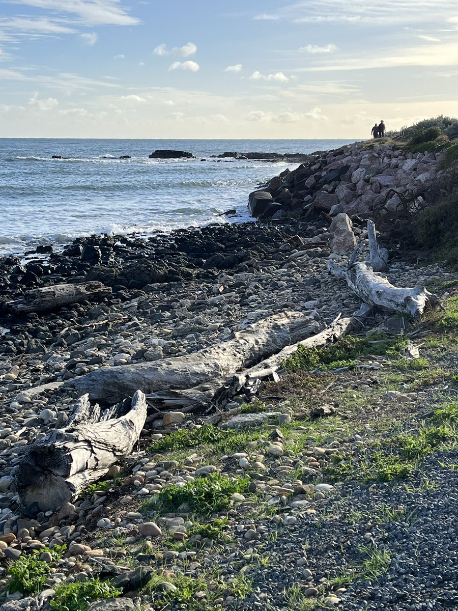 JudithClarke54's tweet image. Morning run in Devonport due to having to take the car in for a service. Took the road to Don before the track down to the headlands then to the Bluff before winding up the hills to do a car pickup. Made the time go quickly #enjoytheday #keepsafe