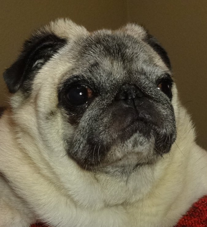 😘😘Wir lieben Dich!😘😘