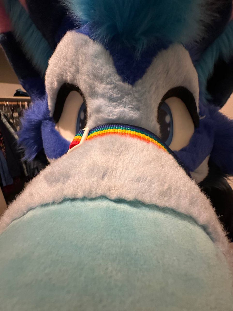 *boop* see you floofs at fwa! Gonna be with <a href="/CheeveyBear/">Cheevey PolarBear</a> pretty much the whole time, look for the blue and green service animals and come say hai! *wagwagwag*