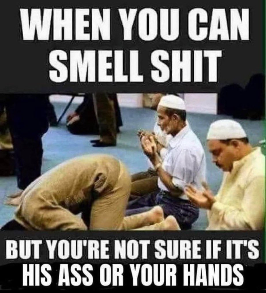 <a href="/irv_babbitt/">Real_Irving_Babbitt</a> 🤣🤣🤣🤣🤣