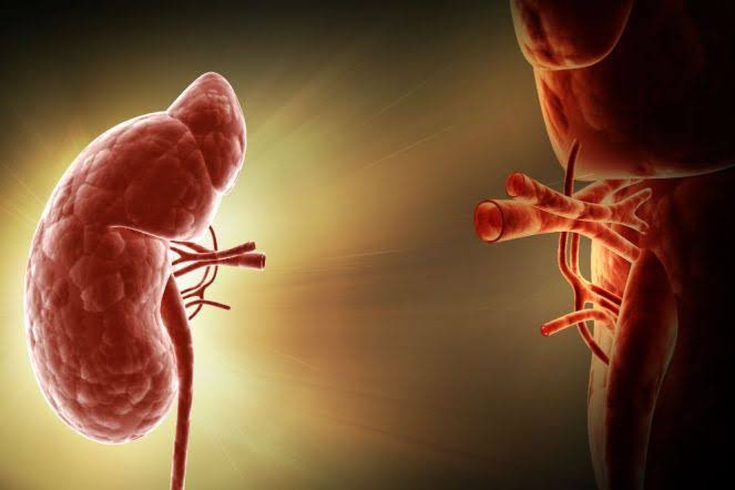valiisaa's tweet photo. Kisah Recall (Penarikan obat) PROGRAF dan ASTAGRAF XL 2024

Bayangin deh, obat yang kamu andalkan setelah transplantasi organ tiba-tiba ketahuan bermasalah karena isinya cuma angin! Itulah yang terjadi sama Prograf dan Astagraf XL, dua obat penting buat pasien transplantasi organ di Amerika, yang ditarik dari pasaran akhir 2024. 

Kabar ini tentu mengejutkan, apalagi buat mereka yang setelah transplantasi organ bergantung sama obat ini. 

Penasaran apa yang terjadi?
Simak utas ini sampai selesai!