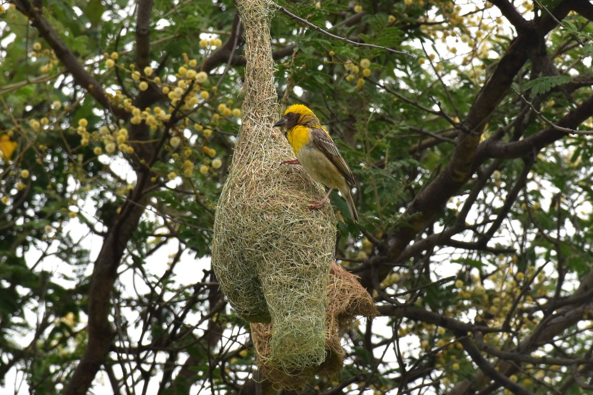 Univ of Hyderabad tweet media
