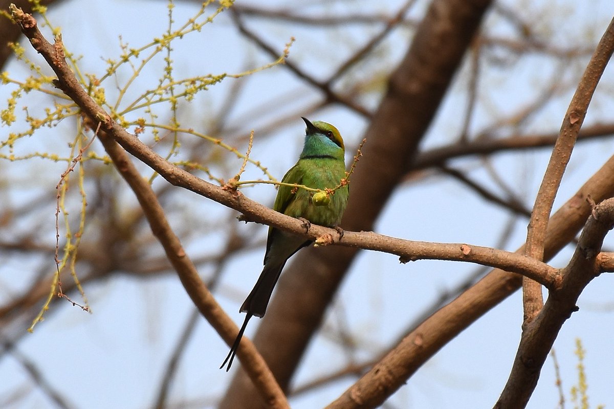 Univ of Hyderabad tweet media