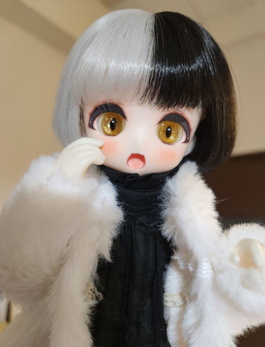 Fullmoon_0505's tweet photo. 明日は 娘たちと映画いきます！
 #うちのこかわいい
 #OBITSU26 
 #PARABOCCLE
 #TinyFox https://t.co/Ll8m8Ihjz7