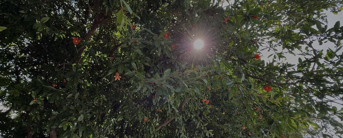 ماذا لو مَرت أشعة الشمس من خِلال قلبي أيضًا..