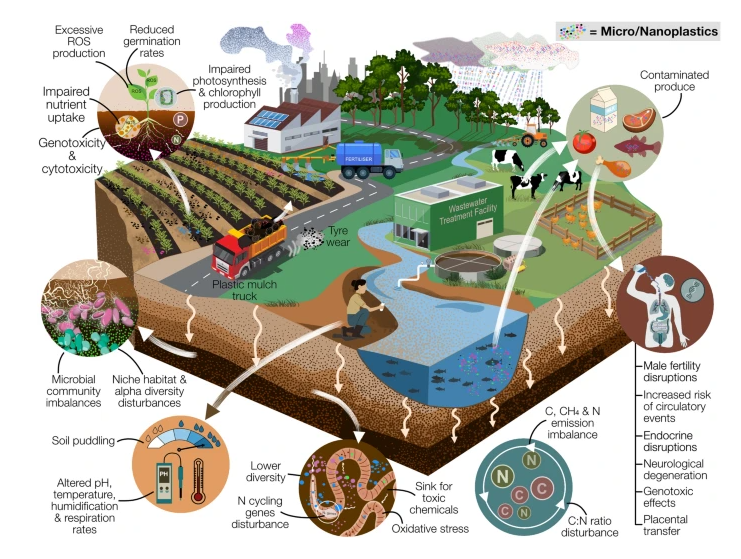 Excited to share a newly published review of possible sources, fate &amp; impact of plastics in agricultural soils. Open access at this link  rdcu.be/ek53R  #bioplasticsinnovationhub #plastic