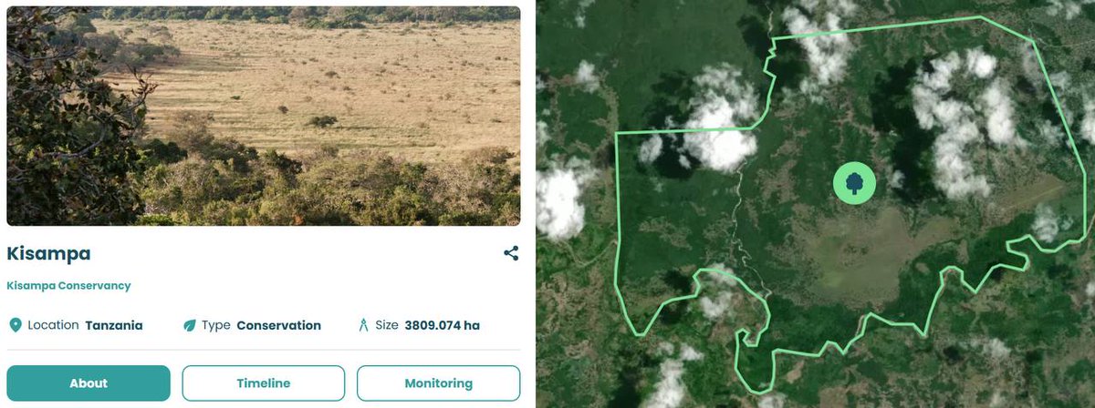 Travel with us to Tanzania 🇹🇿

This project is our biggest at over 3800 hectares (38 square kilometers) 🤯

Positioned along the Wami river this plot is essential to maintaining a vibrant habitat that is home to endangered species 🌱