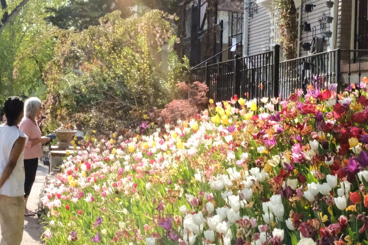 alvssale's tweet photo. <3 https://t.co/zRhQn596Sw